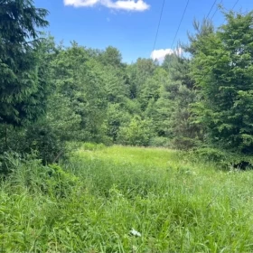 Sprzedam dom Żyznów Żarnowa