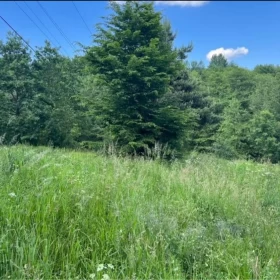 Sprzedam dom Żyznów Żarnowa