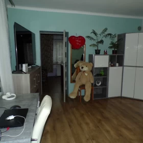 Sprzedam domu w Budach Zaklasztornych