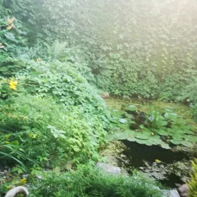 Sprzedam działkę 300m2