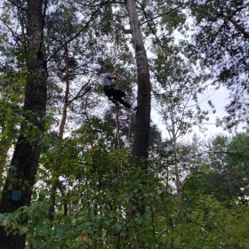 Alpinistyczna wycinka drzew, usługi kosą spalinową, piłą mechaniczną