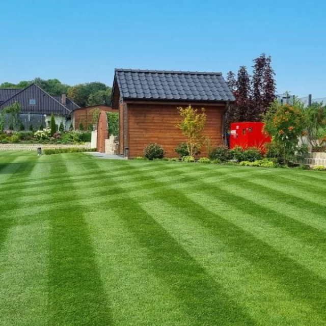 Pielęgnacja trawnika na wiosnę krok po kroku