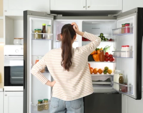 Najlepsze modele lodówek i zamrażarek na rynku – przegląd